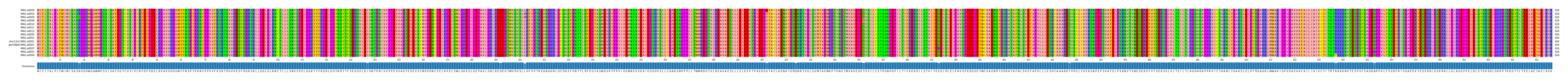 Multiple Alignments (by translate haplotype similarity)