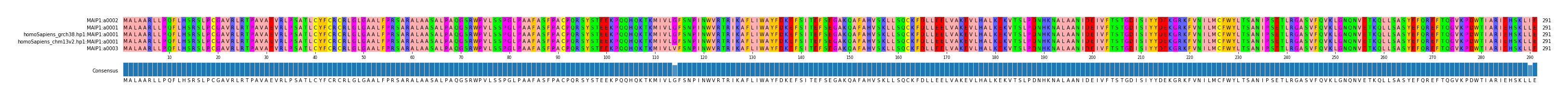 Multiple Alignments (by translate haplotype similarity)