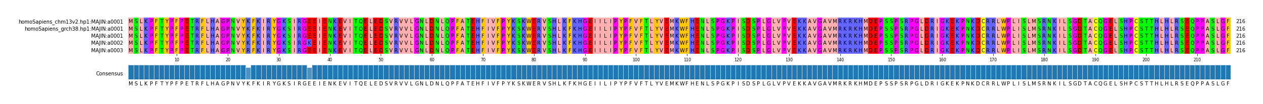 Multiple Alignments (by translate haplotype frequency)