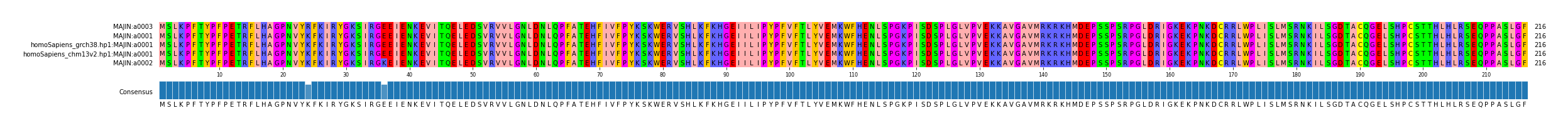 Multiple Alignments (by translate haplotype similarity)