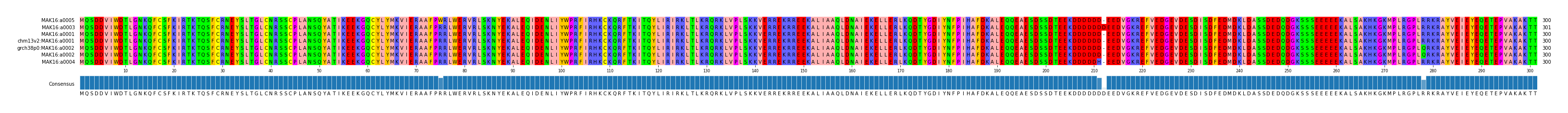 Multiple Alignments (by translate haplotype similarity)