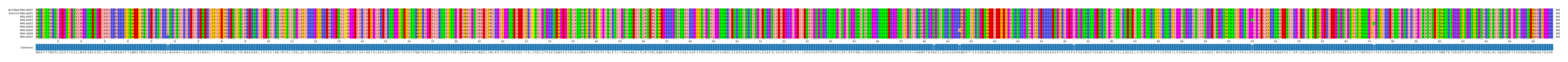 Multiple Alignments (by translate haplotype frequency)