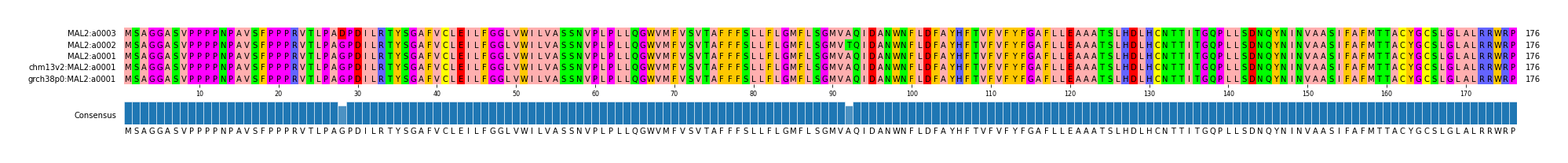 Multiple Alignments (by translate haplotype similarity)