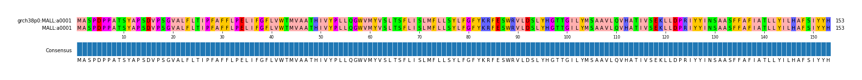 Multiple Alignments (by translate haplotype similarity)