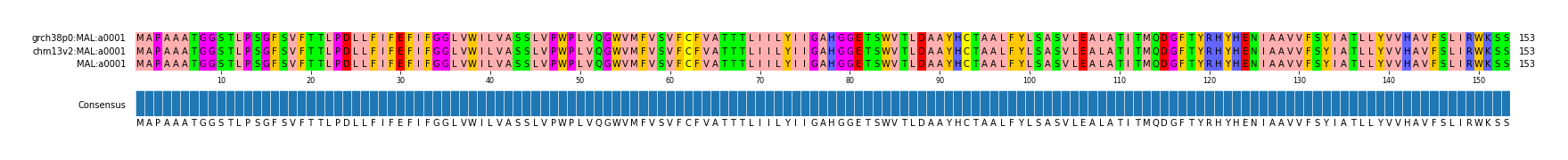 Multiple Alignments (by translate haplotype similarity)
