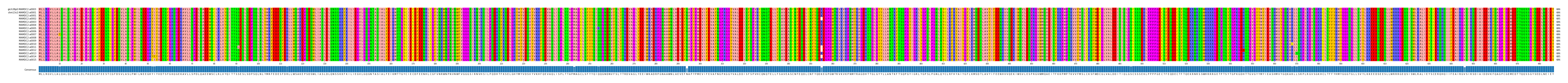 Multiple Alignments (by translate haplotype frequency)