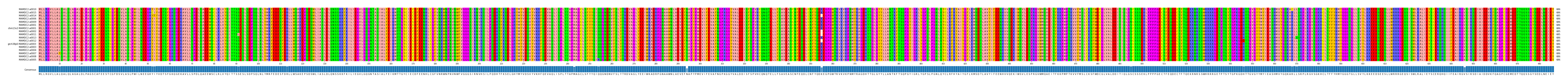 Multiple Alignments (by translate haplotype similarity)