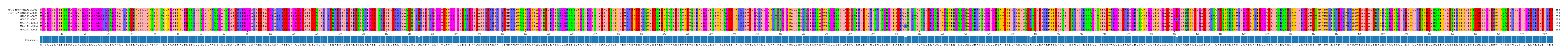 Multiple Alignments (by translate haplotype frequency)
