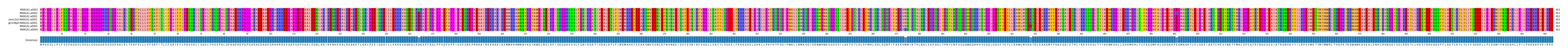 Multiple Alignments (by translate haplotype similarity)