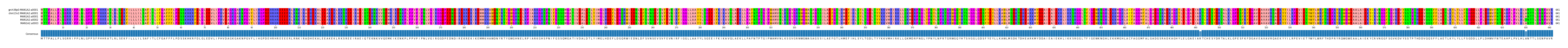 Multiple Alignments (by translate haplotype frequency)