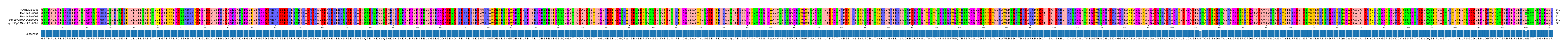 Multiple Alignments (by translate haplotype similarity)