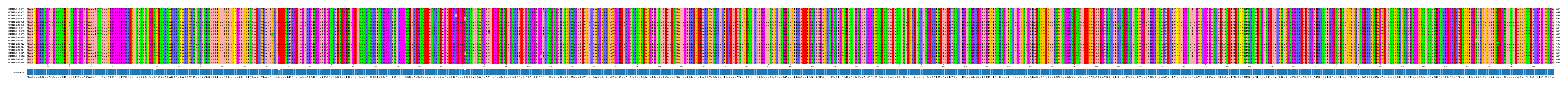 Multiple Alignments (by translate haplotype frequency)