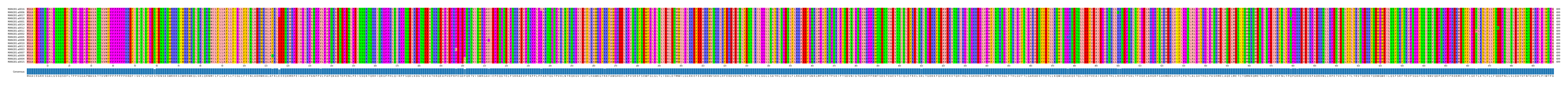 Multiple Alignments (by translate haplotype similarity)