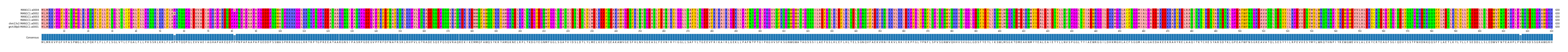 Multiple Alignments (by translate haplotype similarity)