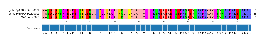 Multiple Alignments (by translate haplotype similarity)