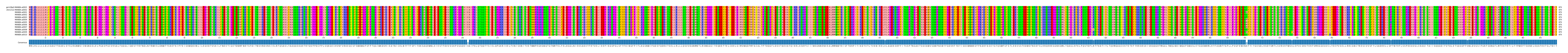 Multiple Alignments (by translate haplotype frequency)