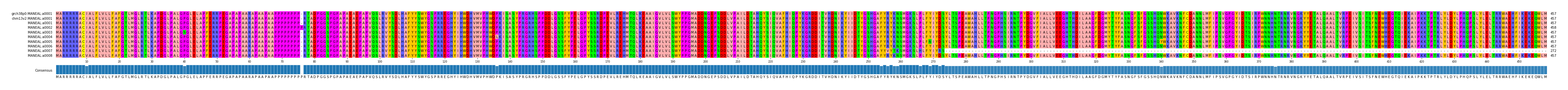 Multiple Alignments (by translate haplotype frequency)