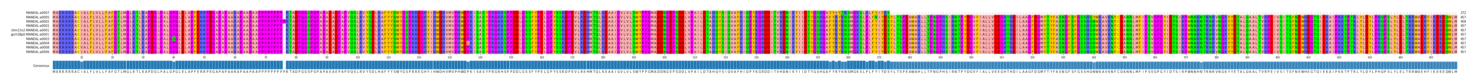 Multiple Alignments (by translate haplotype similarity)