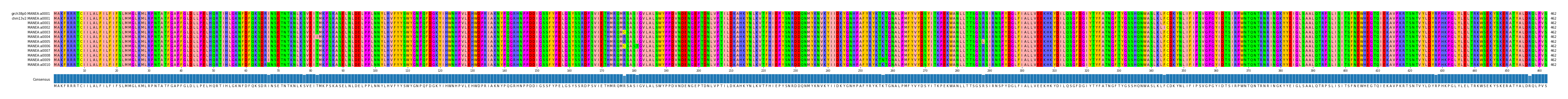 Multiple Alignments (by translate haplotype frequency)