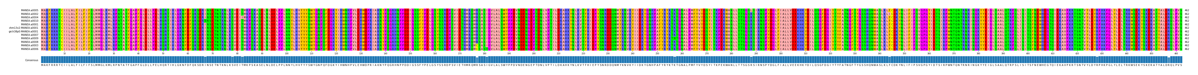 Multiple Alignments (by translate haplotype similarity)