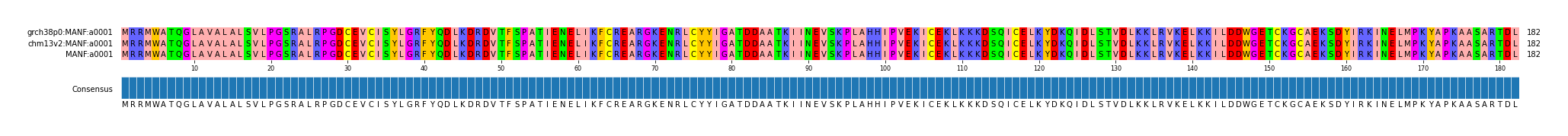 Multiple Alignments (by translate haplotype similarity)