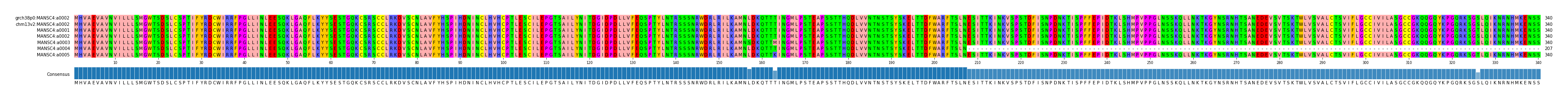 Multiple Alignments (by translate haplotype frequency)