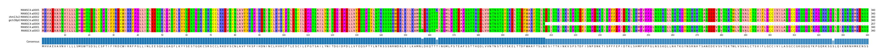 Multiple Alignments (by translate haplotype similarity)