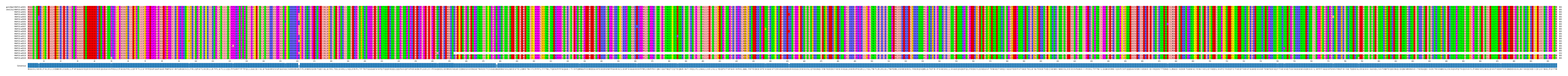 Multiple Alignments (by translate haplotype frequency)
