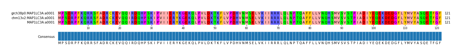 Multiple Alignments (by translate haplotype frequency)