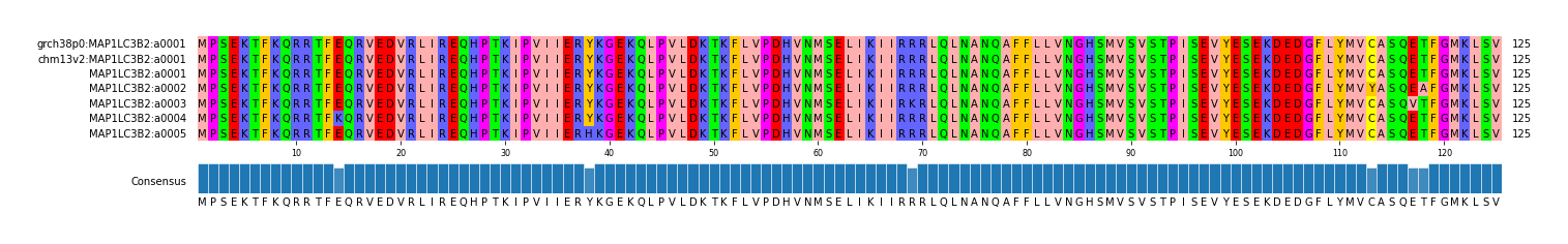Multiple Alignments (by translate haplotype frequency)