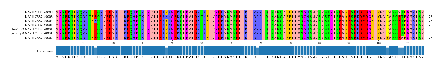 Multiple Alignments (by translate haplotype similarity)