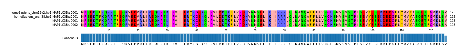 Multiple Alignments (by translate haplotype similarity)