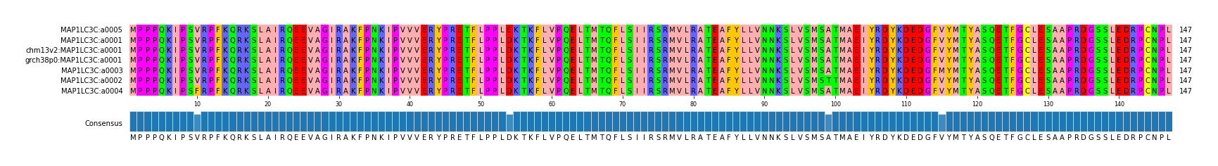 Multiple Alignments (by translate haplotype similarity)