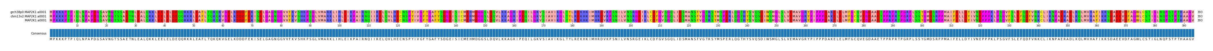 Multiple Alignments (by translate haplotype similarity)
