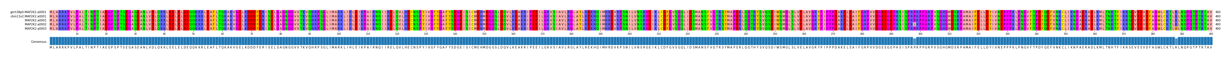 Multiple Alignments (by translate haplotype frequency)