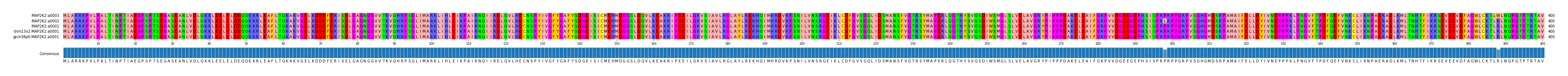 Multiple Alignments (by translate haplotype similarity)