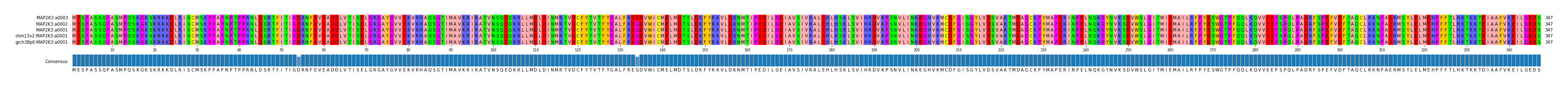 Multiple Alignments (by translate haplotype similarity)