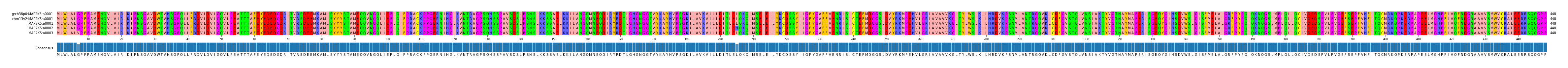 Multiple Alignments (by translate haplotype frequency)