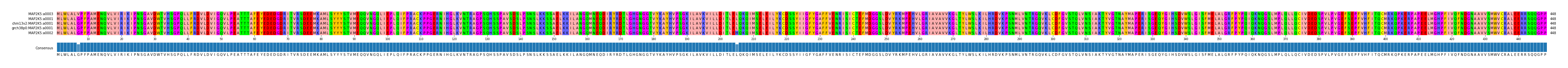 Multiple Alignments (by translate haplotype similarity)