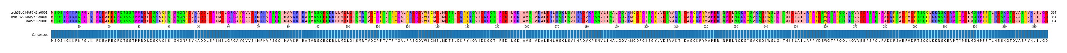 Multiple Alignments (by translate haplotype similarity)