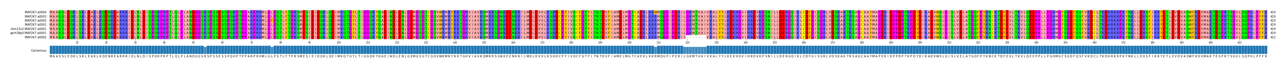 Multiple Alignments (by translate haplotype similarity)