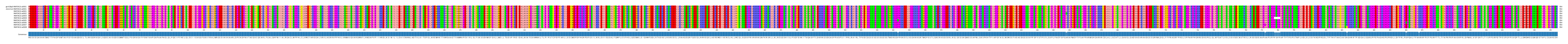 Multiple Alignments (by translate haplotype frequency)