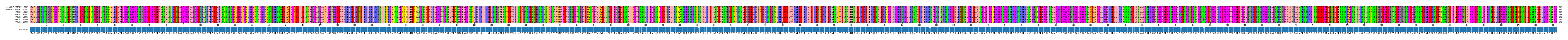 Multiple Alignments (by translate haplotype frequency)