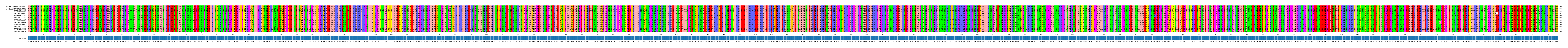 Multiple Alignments (by translate haplotype frequency)