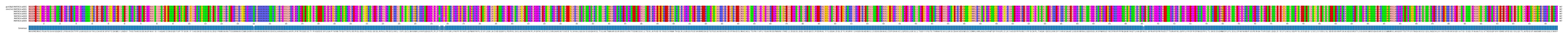 Multiple Alignments (by translate haplotype frequency)