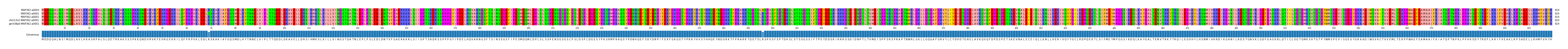 Multiple Alignments (by translate haplotype similarity)
