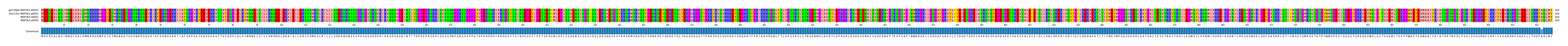 Multiple Alignments (by translate haplotype similarity)
