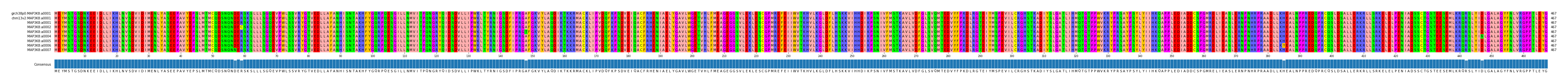 Multiple Alignments (by translate haplotype frequency)