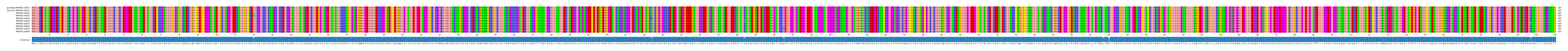 Multiple Alignments (by translate haplotype frequency)