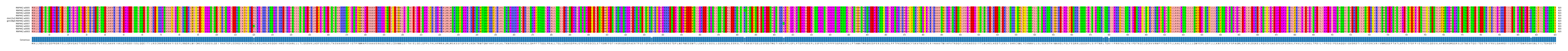 Multiple Alignments (by translate haplotype similarity)